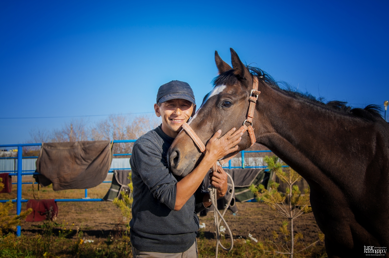 Жүйрік жылқының сипаттары