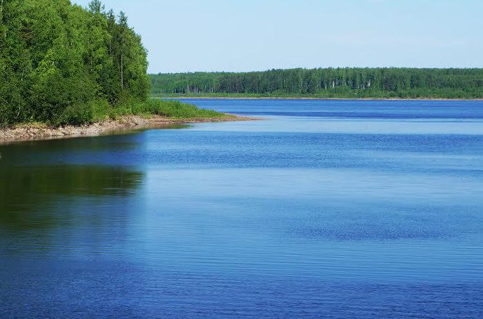 Қызылордада алты су қойма салынады 