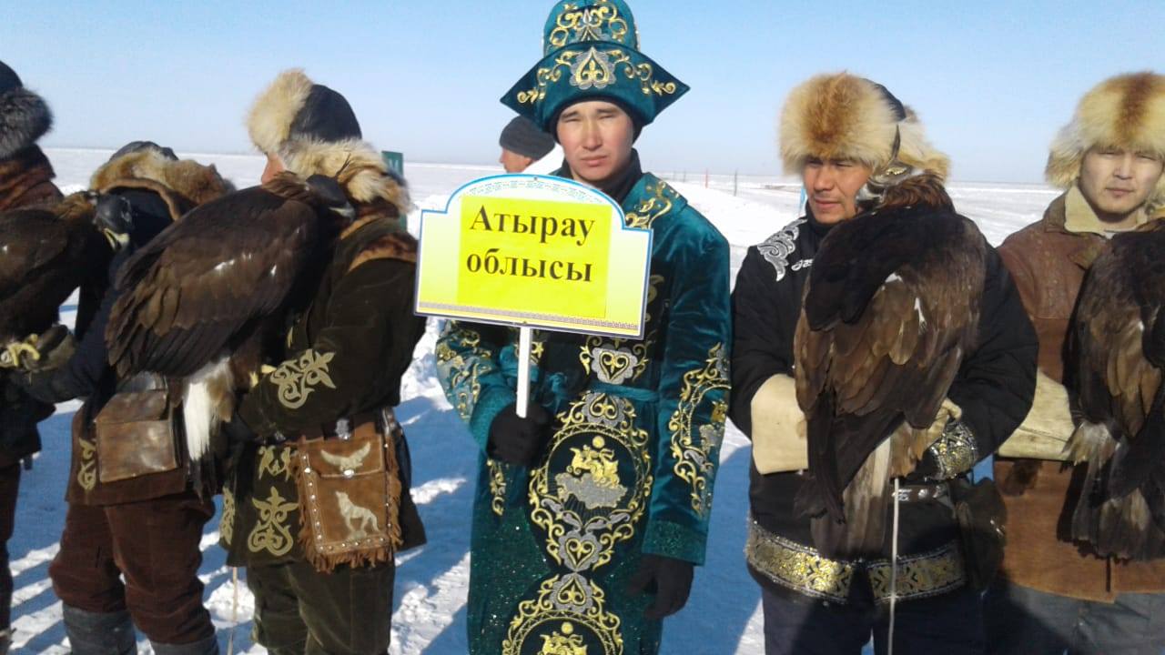 Тарбағатай ауданында бүгін бүркіттер қасқырға түседі