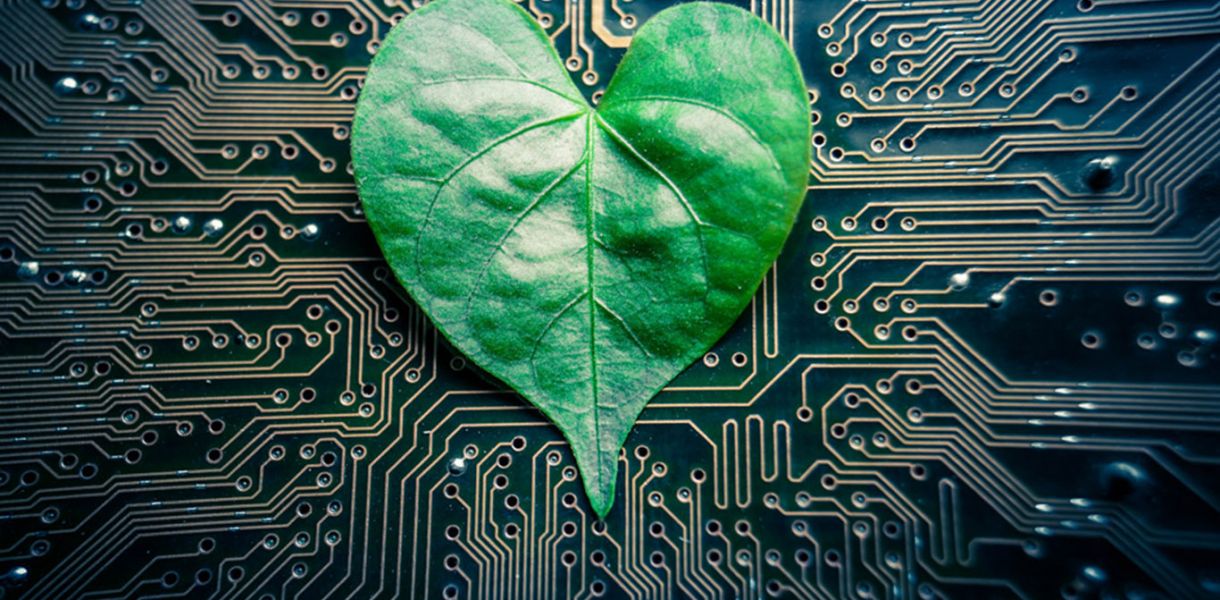 Жасанды өсімдіктер Жер шарын тазартуға қалай көмектеседі?