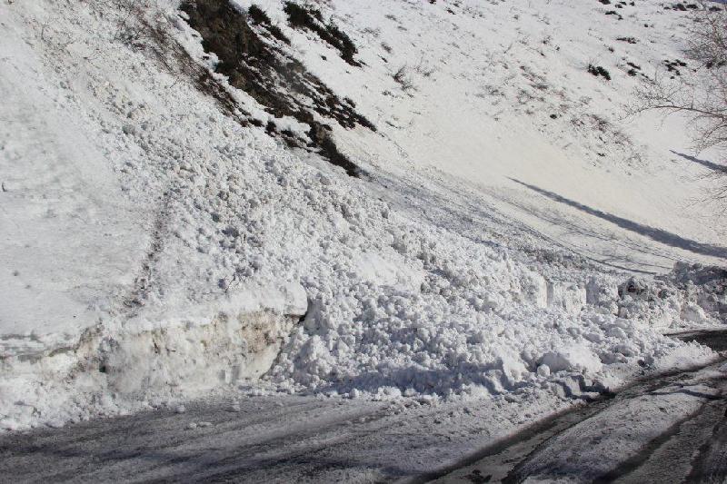 Шығыс Қазақстанда қар көшкініне байланысты жол жабылды