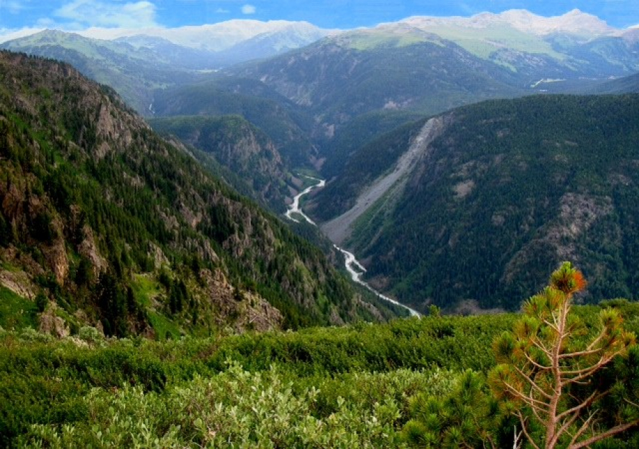 ШҚО Катонқарағай ауданында «Алтай» шипажайы ашылады