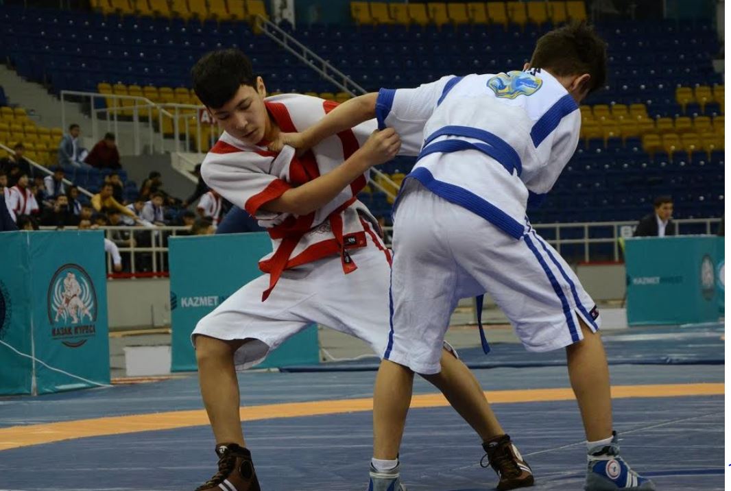 Қазақ күресі бұқаралық сипат алуға тиіс