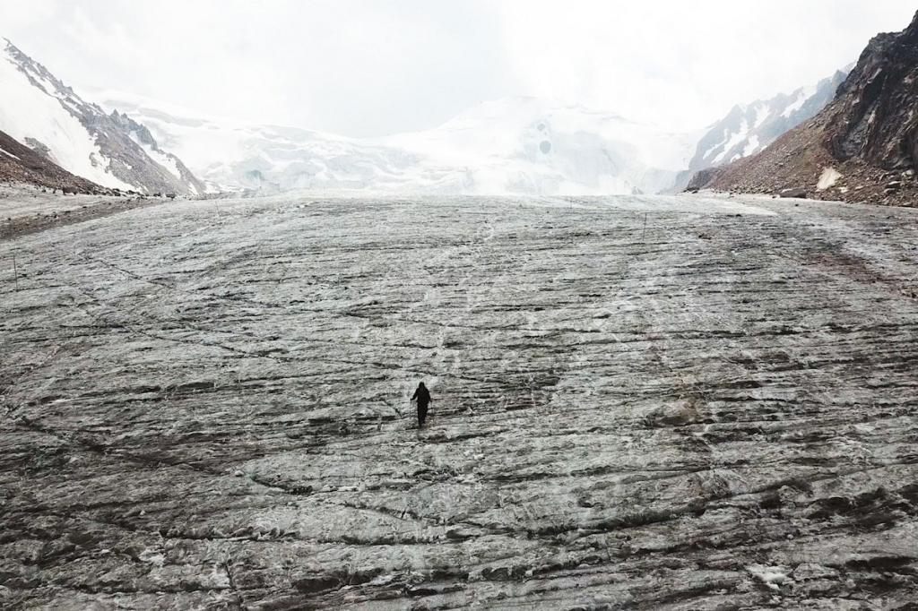 Бен К.Соломон, «Нью-Йорк Таймс»