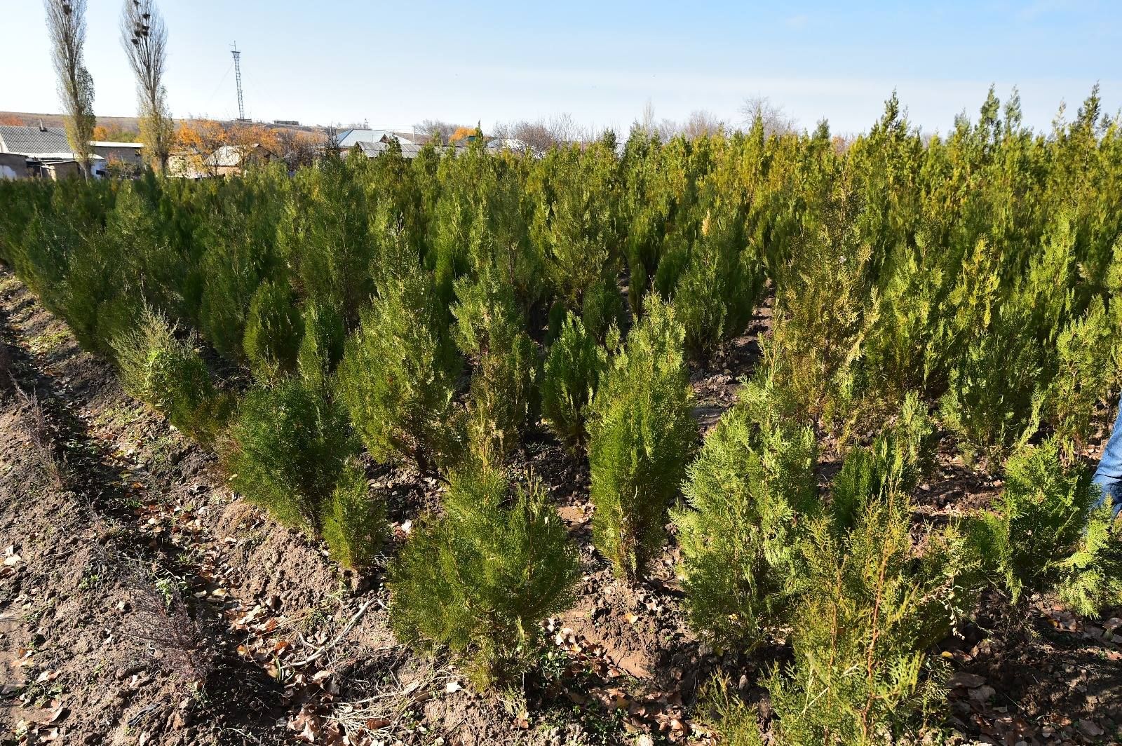 Қыздар университетінің ғалымдары бірегей экологиялық жобаны қолға алды