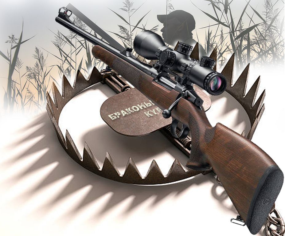 Браконьерлікпен күрес жағдай мен жауапкершілік артқанда күшеймек