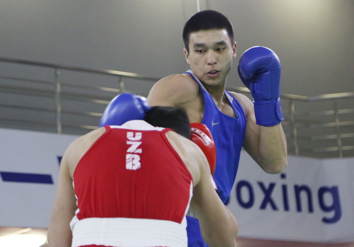 Бокс: Төлтаев пен Нұрмағанбет жартылай финалда