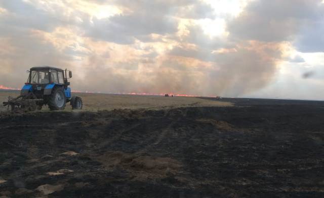 Павлодар облысында дала өрттері басылмай тұр
