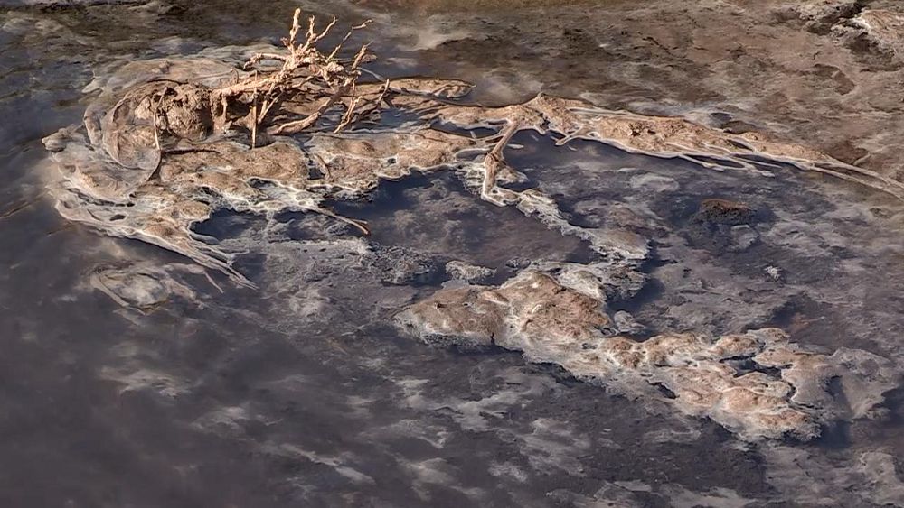 Шымкенттіктер «Шыңырауды» тамашалайды