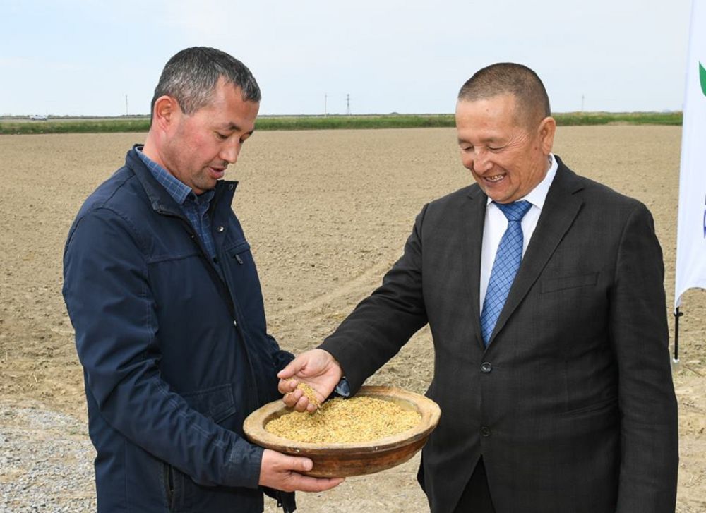 «Ақылды фермалар»  өнімділікті арттыруға септеседі