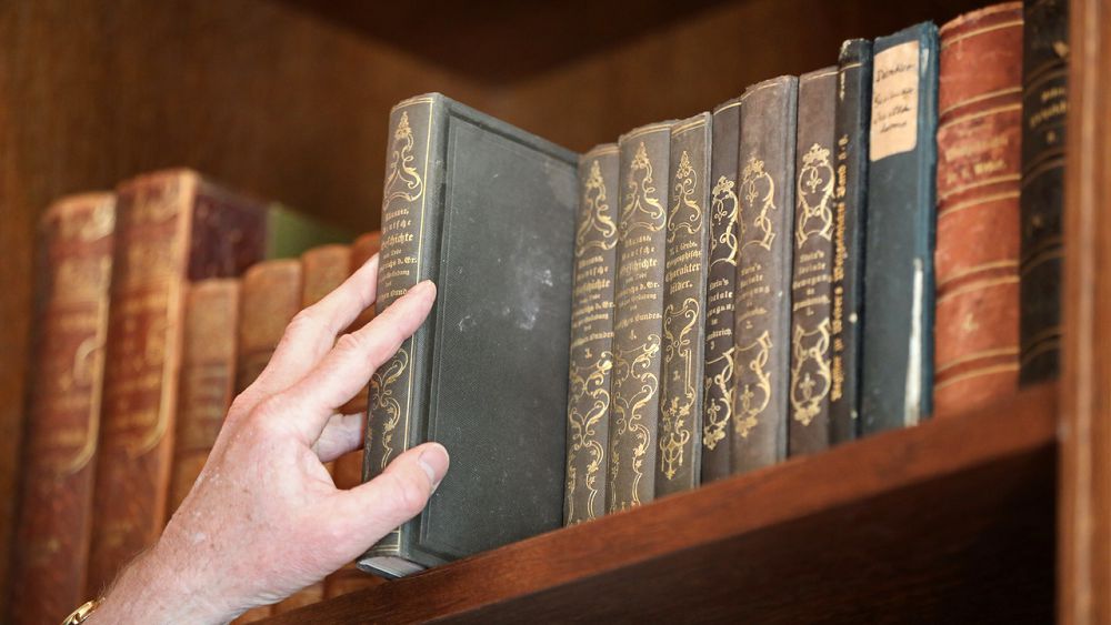 «Бізде сын жоқ!» деп байбалам салмастан бұрын...