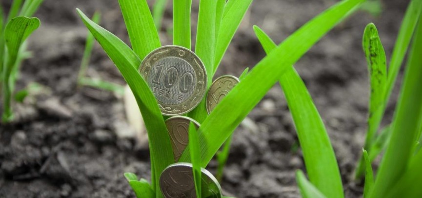 Ауыл кәсіпкерлігін қаржыландыру басталды