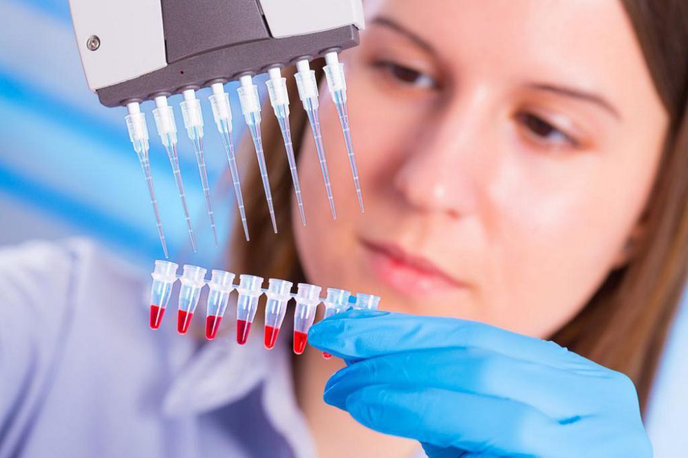 «Гоше» бұғауына түскендер