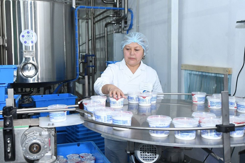 Мемлекеттік қолдау кәсіпкерлікке жаңа серпін береді