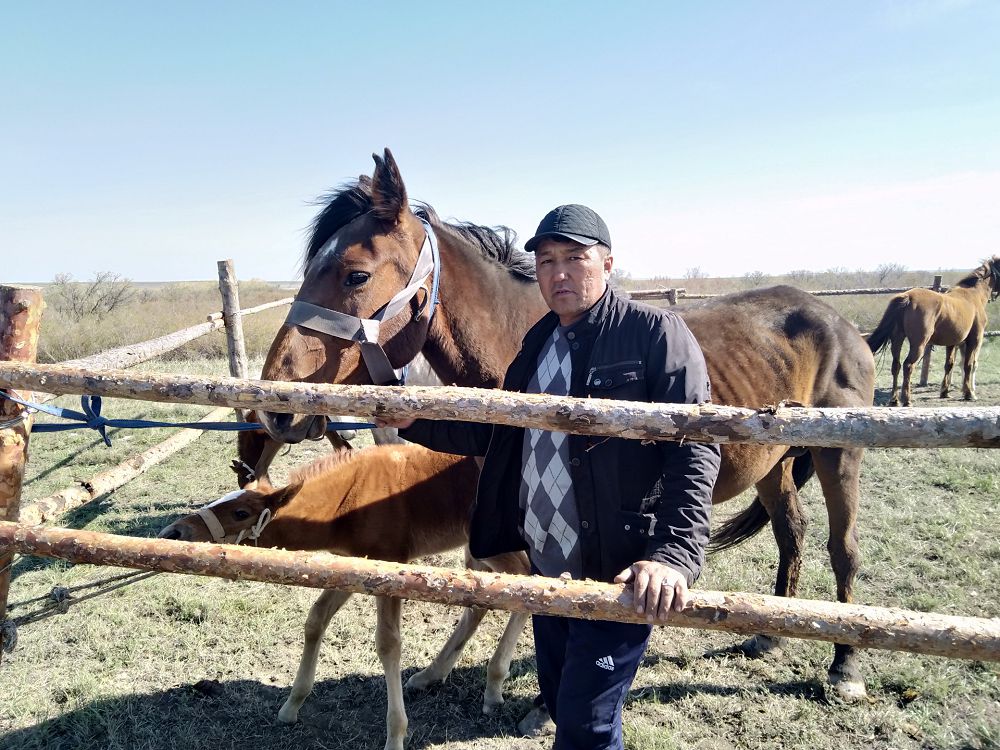 «Құланнан» өрген құлындар