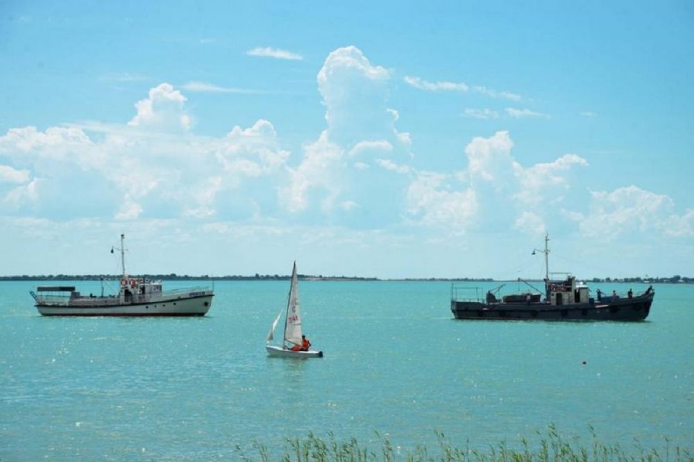 Балқаш қол бұлғайды