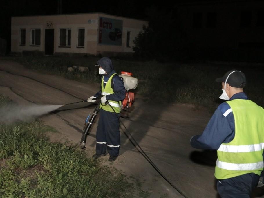 Елордада масаларды «қуып жатыр»