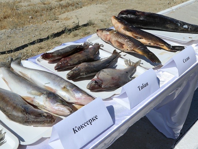 Қызылорда облысында V Балықшылар слеті өтті