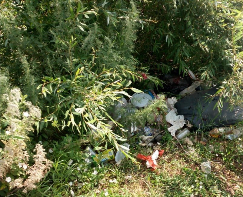 Министр Birge, TazaQazaqstan экологиялық акциясын бастады