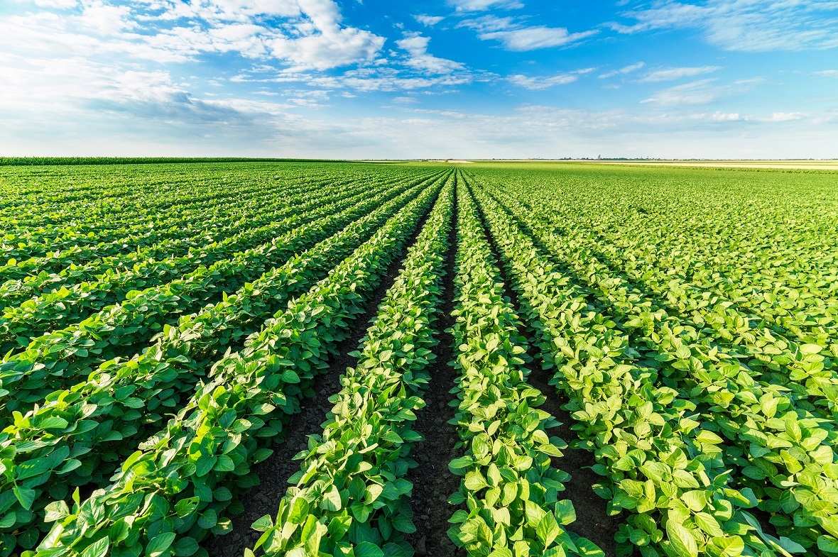 Субсидияның көмегі зор, бірақ әуресі көп