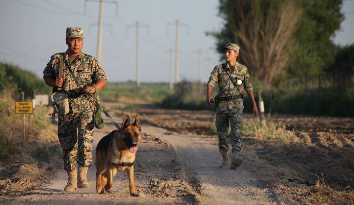 Шекарадан 26 маймыл, 4 млн теңге алып өтпек болғандар ұсталды