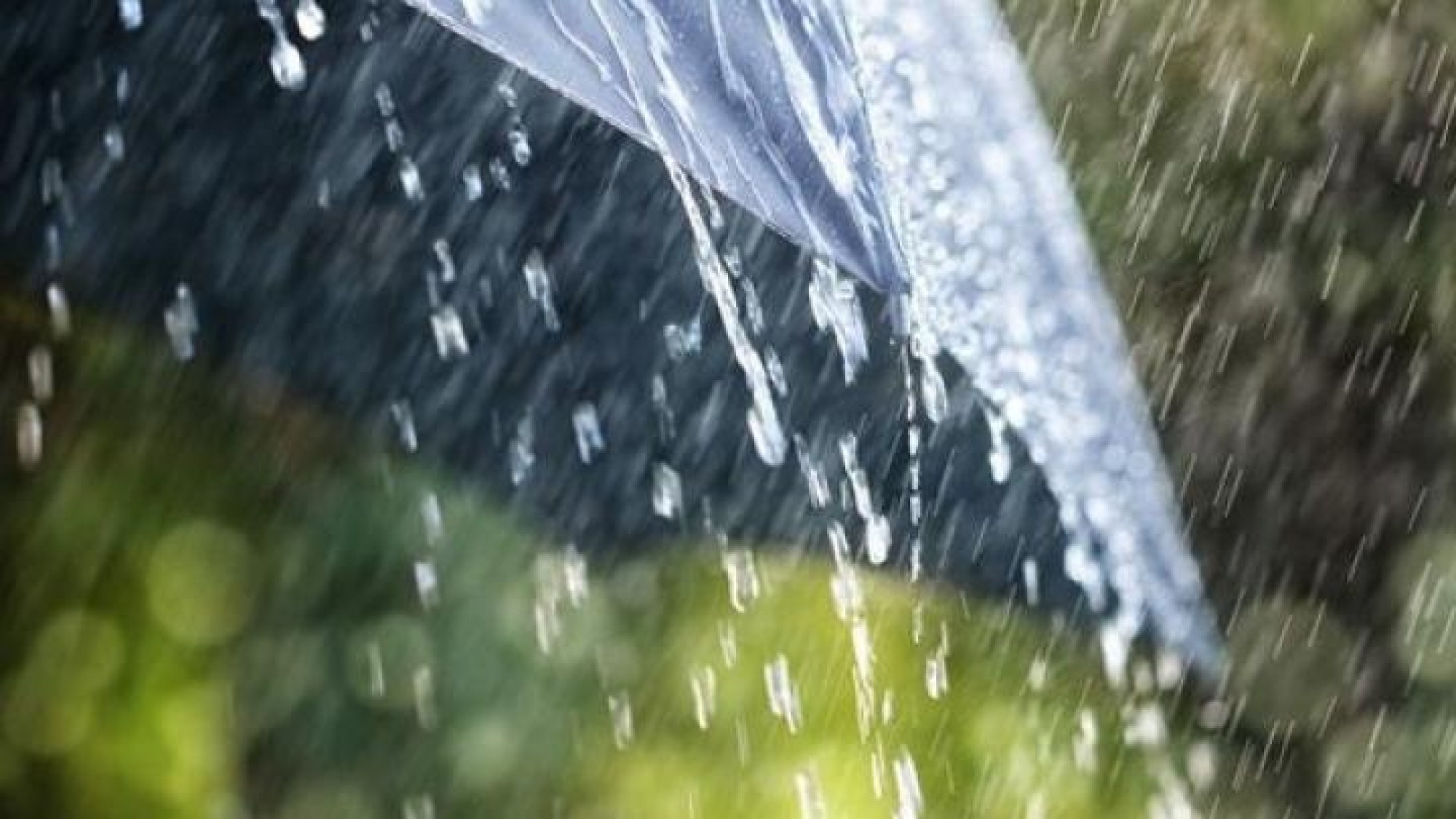 Алдағы күндері еліміздің басым бөлігінде жаңбыр жауады