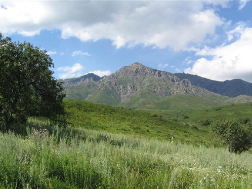 Ұлттық паркке жапон ғалымдары келді