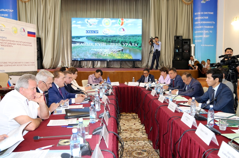 Жайық өзенінің экожүйесі алаңдатады