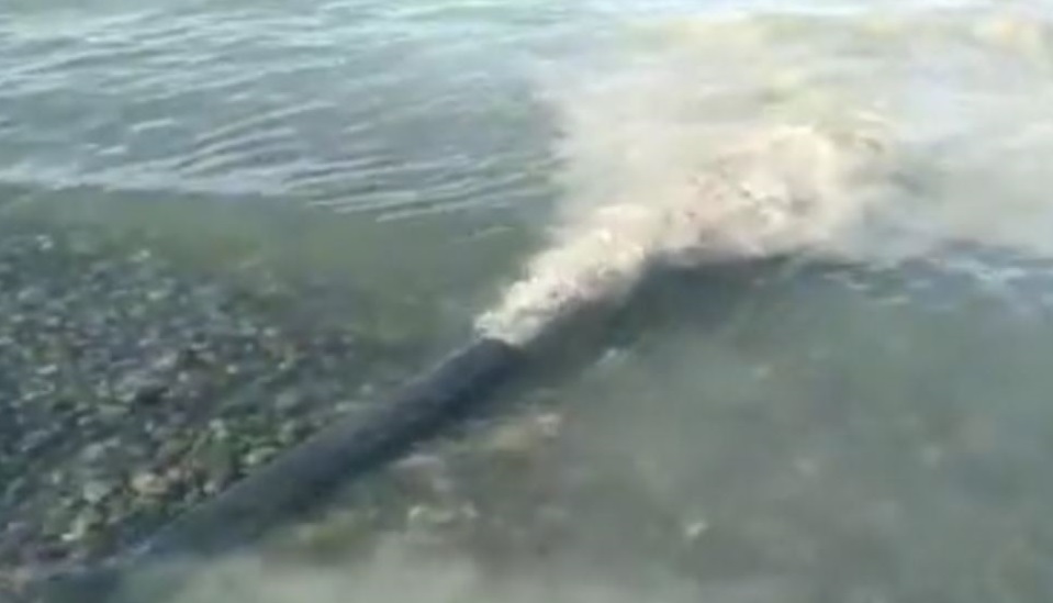 Алакөл: айдынға лас су қайдан келді?