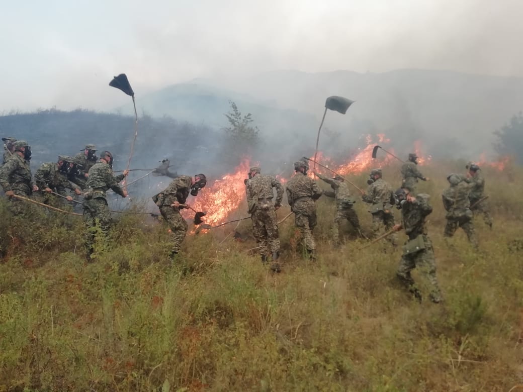 Ұлттық ұлан алапат өрттің алдын алды