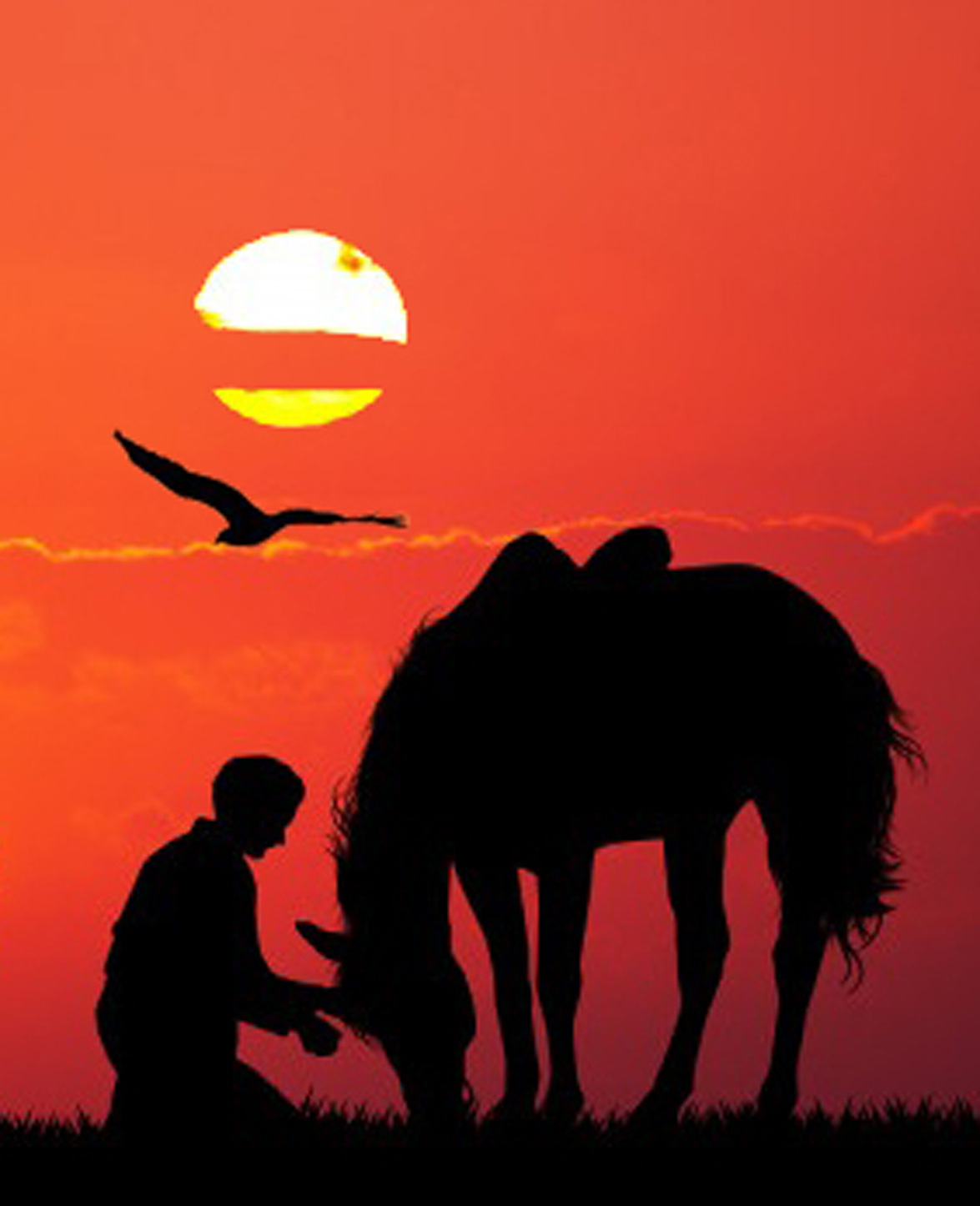 Көк биенің көз жасы