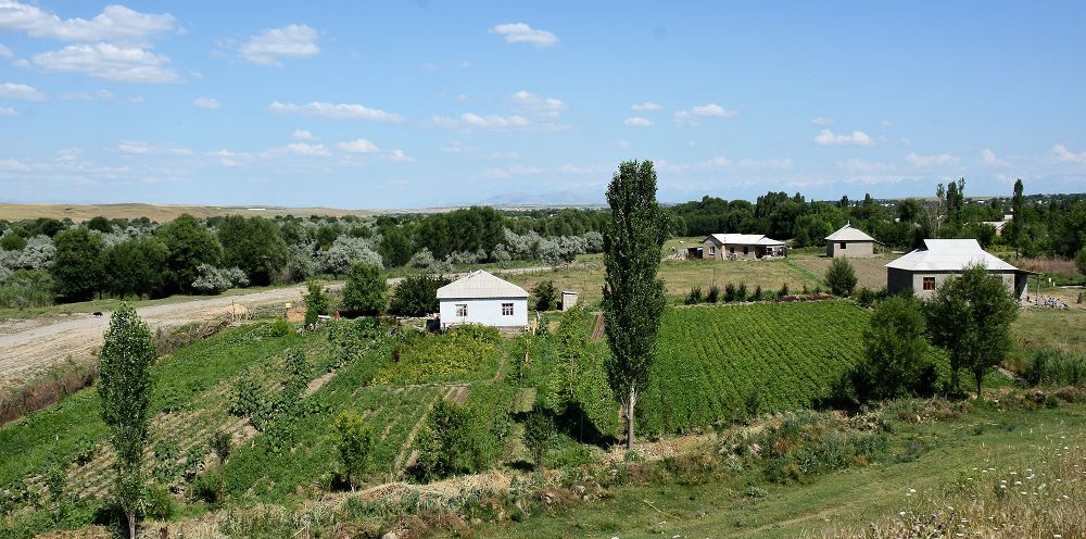 Ауыл әлеуетін  арттырудың амалдары