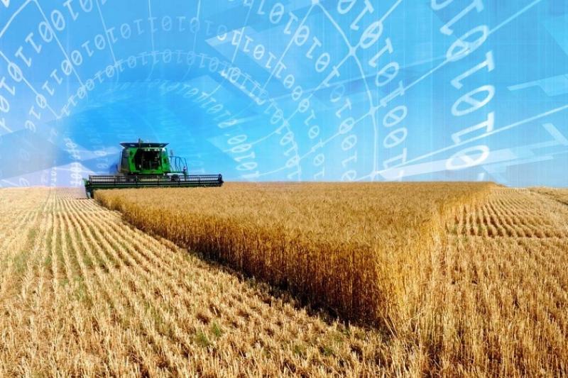 Солтүстік Қазақстанда егін орағы қарқын алып келеді