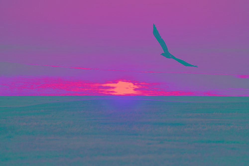 Ұлы даланың тілде өрілген тарихы