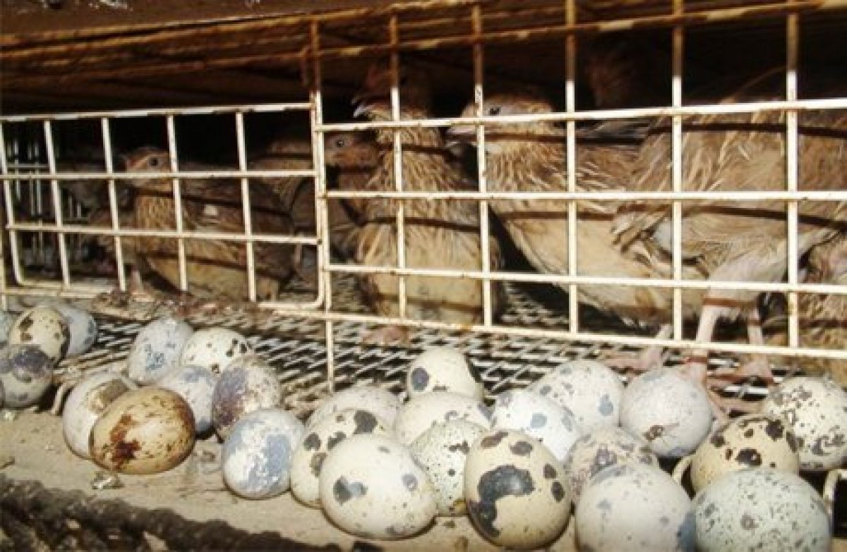 Жеке кәсіпті бастаудың жолы бар