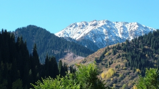 Алматы тауында адасып кеткен төрт турист құтқарылды