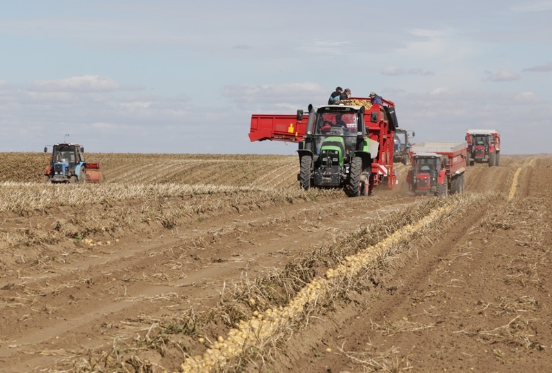 Қарағанды облысында астық жинау науқаны басталды