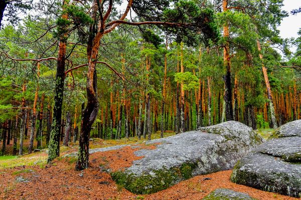 Шалқар-Имантау курорттық аймағына 6 жылда 23 млрд теңге бағытталады