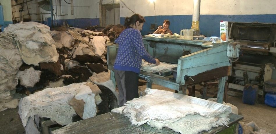 Тері илеп, жүн түтудің шебері едік