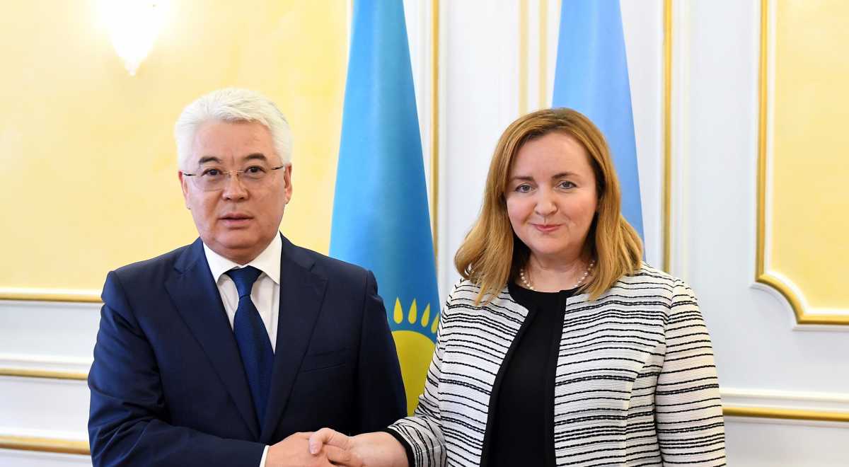 БҰҰ Бас хатшысының арнайы өкілі «Жусан» операциясына баға берді