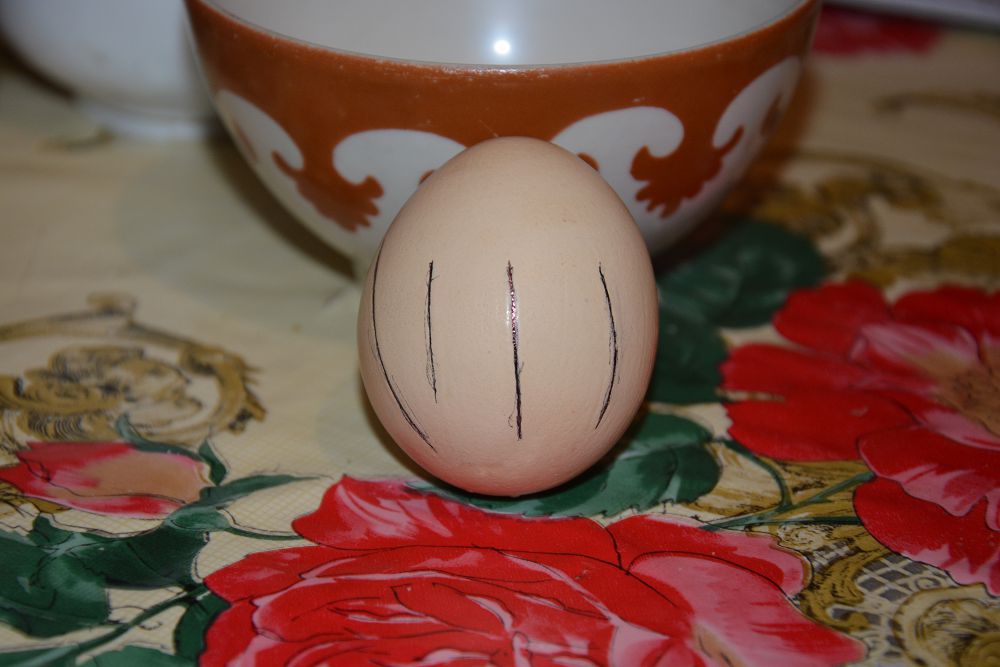 Жазуы бар  жұмыртқа