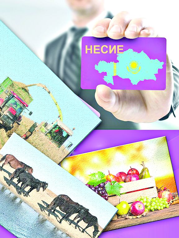 Несие серіктестіктерін FinTech-ке бағыттасақ ұтылмаймыз