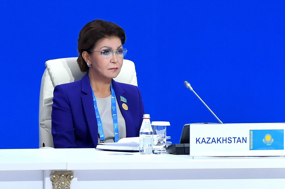 Еуразия елдері парламенттері спикерлері  кеңесінің қорытындысы бойынша  комментарий