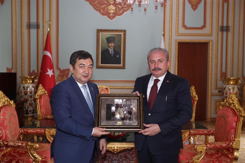 Түркі академиясының президенті Мұстафа Шентоппен кездесті