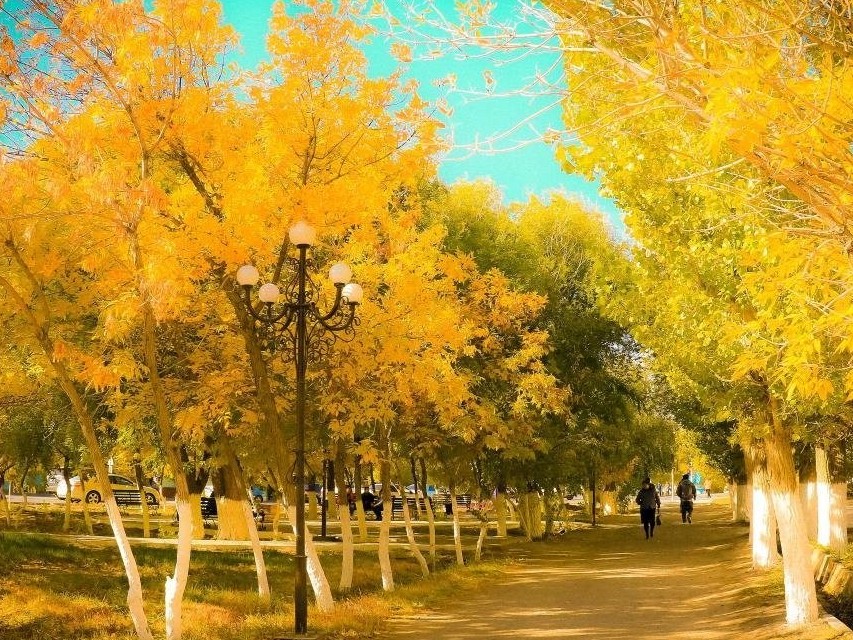 Еліміздің көптеген аумағында күн жылы болады