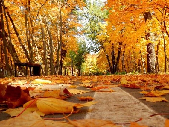 Абылай Мауданов.  Күз суреттері