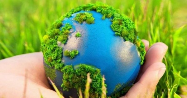 Ақтоты Райымқұлова елордадағы мектеп ауласына ағаш отырғызды