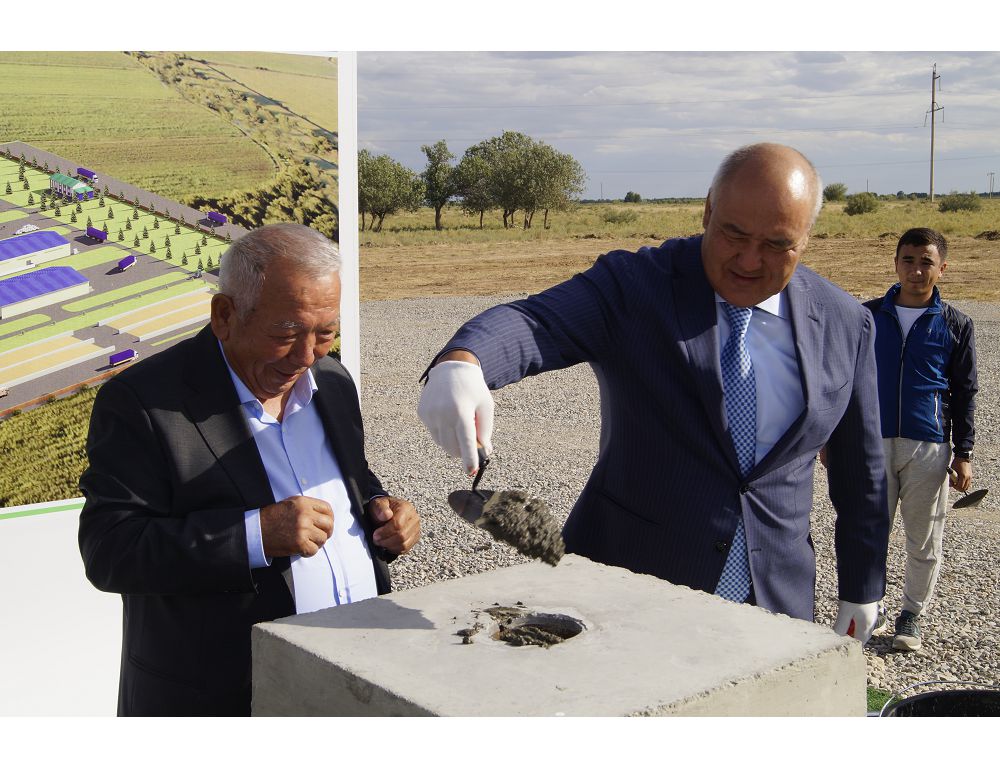 Түркістанда азық-түлік белдеуі қалыптастырылуда