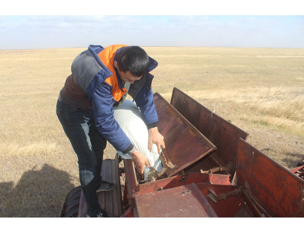 Жаңа іс бастаған жас жігіт