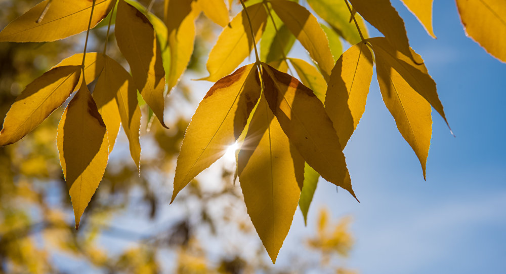 Бүгін ауа райы қандай болады?